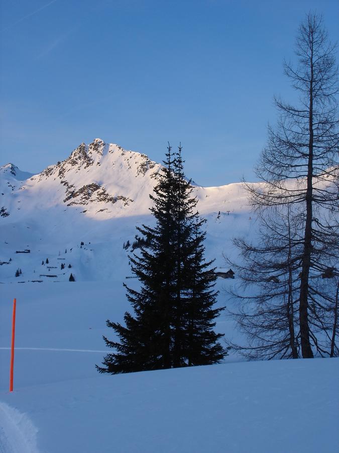 Welcome-Bienvenue-Добро Пожаловать Flachau Ngoại thất bức ảnh